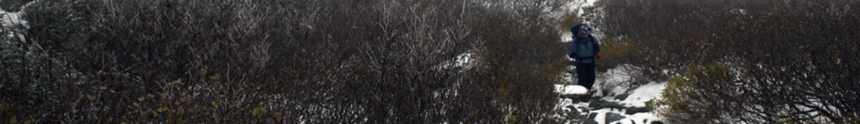 JEAN-SÉBASTIEN MASSICOTTE random header image